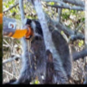 Meet your Posher, Kailan